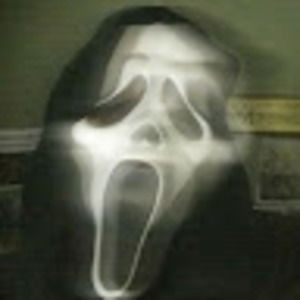 Meet your Posher, Louis